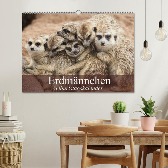 Erdmännchen (CALVENDO Wandkalender 2026)