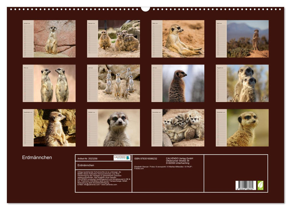 Erdmännchen (CALVENDO Wandkalender 2026)