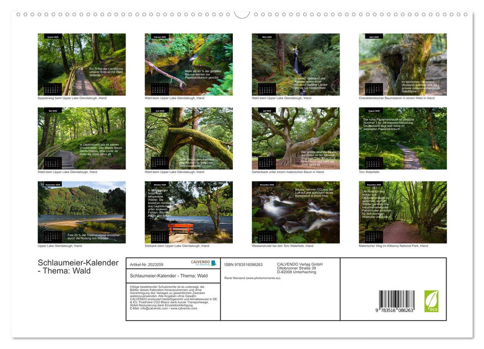 Schlaumeier-Kalender - Thema: Wald (CALVENDO Premium Wandkalender 2026)