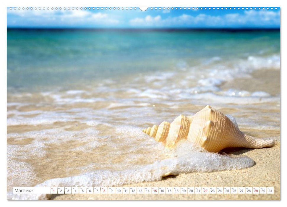 Malediven - Traumstrände im Paradies (CALVENDO Wandkalender 2026)