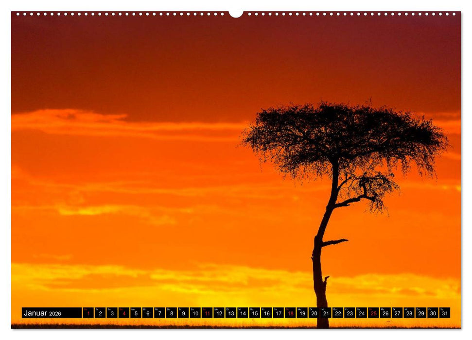 Masai Mara 2026 (CALVENDO Wandkalender 2026)