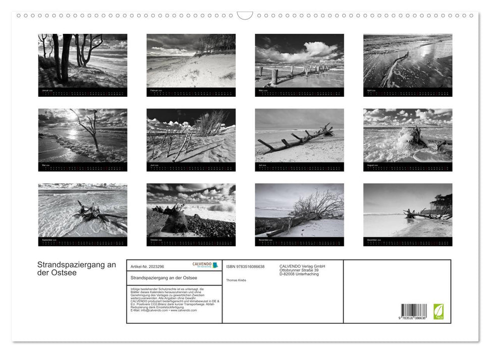 Strandspaziergang an der Ostsee (CALVENDO Wandkalender 2026)