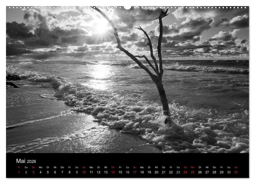 Strandspaziergang an der Ostsee (CALVENDO Wandkalender 2026)