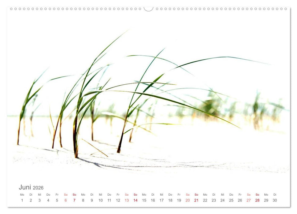 Das "Nordsee-Gefühl" (CALVENDO Premium Wandkalender 2026)
