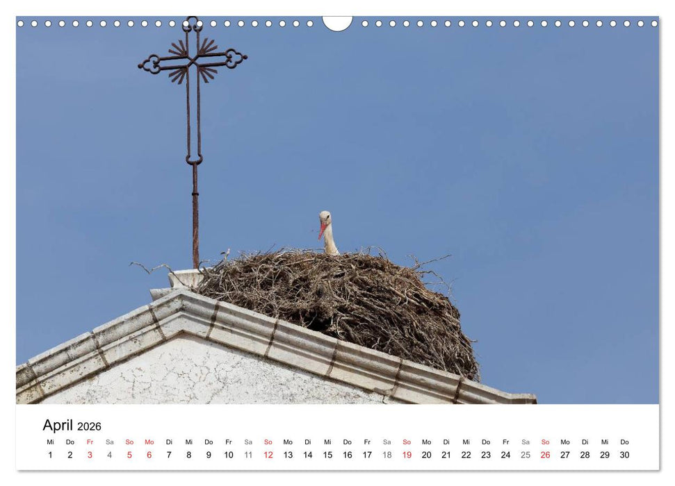 Algarve von Sagres bis Tavira (CALVENDO Wandkalender 2026)