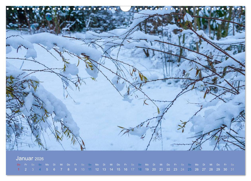 Gartenflüstern (CALVENDO Wandkalender 2026)