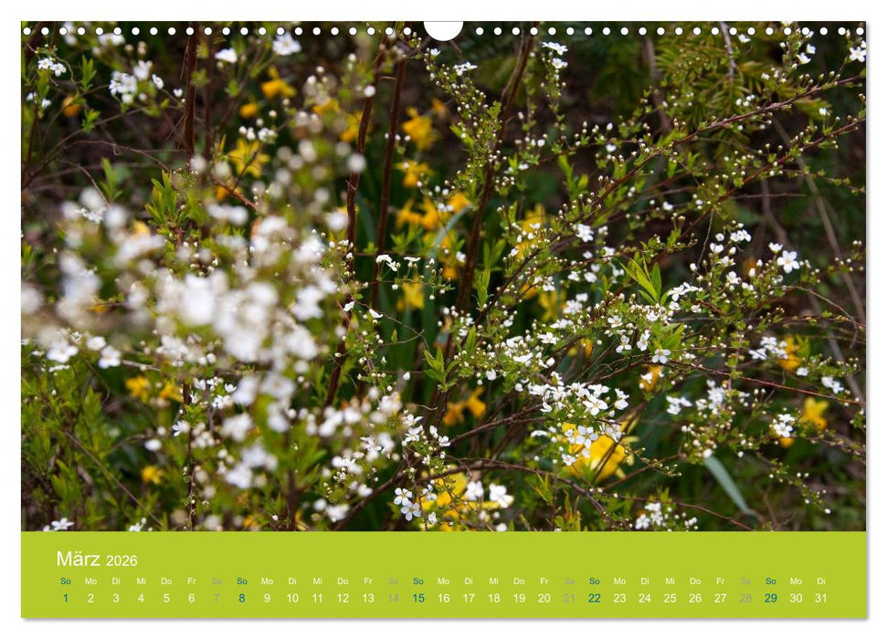 Gartenflüstern (CALVENDO Wandkalender 2026)