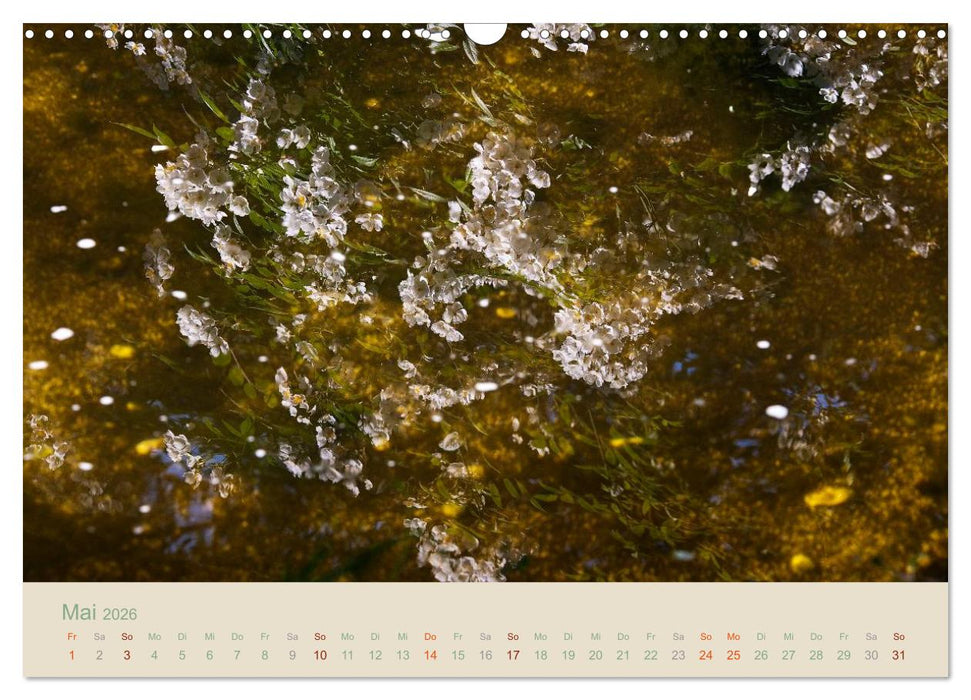 Gartenflüstern (CALVENDO Wandkalender 2026)