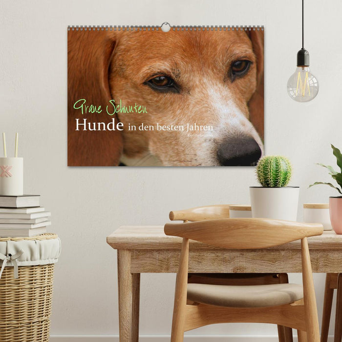 Graue Schnuten - Hunde in den besten Jahren (CALVENDO Wandkalender 2026)