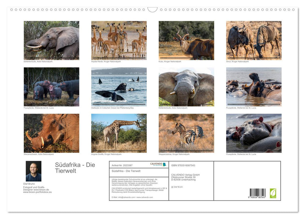 Südafrika - Die Tierwelt (CALVENDO Wandkalender 2026)