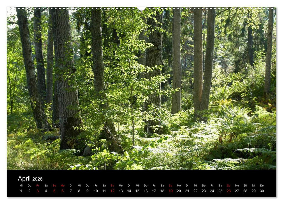 Sommer in Stockholm 2026 (CALVENDO Wandkalender 2026)