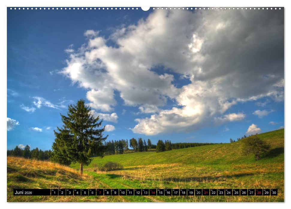 Zauberhafter Harz (CALVENDO Wandkalender 2026)