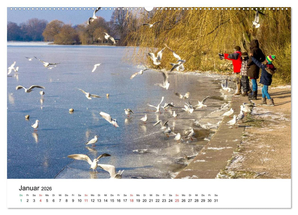 Grünes Hamburg (CALVENDO Wandkalender 2026)