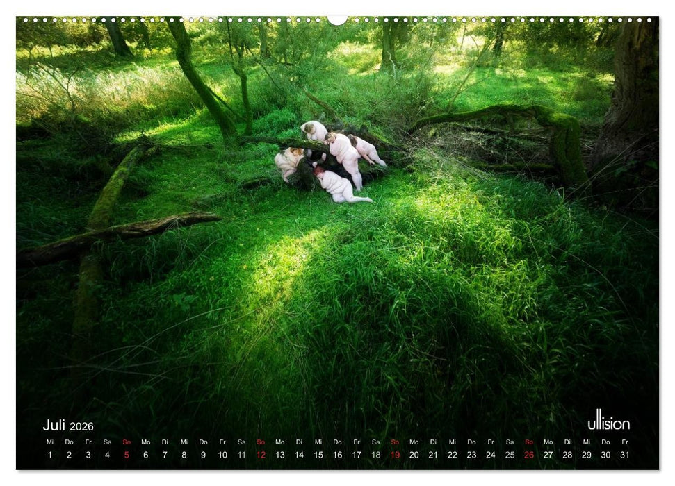 Mothers of Earth, das Leben kann soo prachtvoll sein ! (CALVENDO Premium Wandkalender 2026)