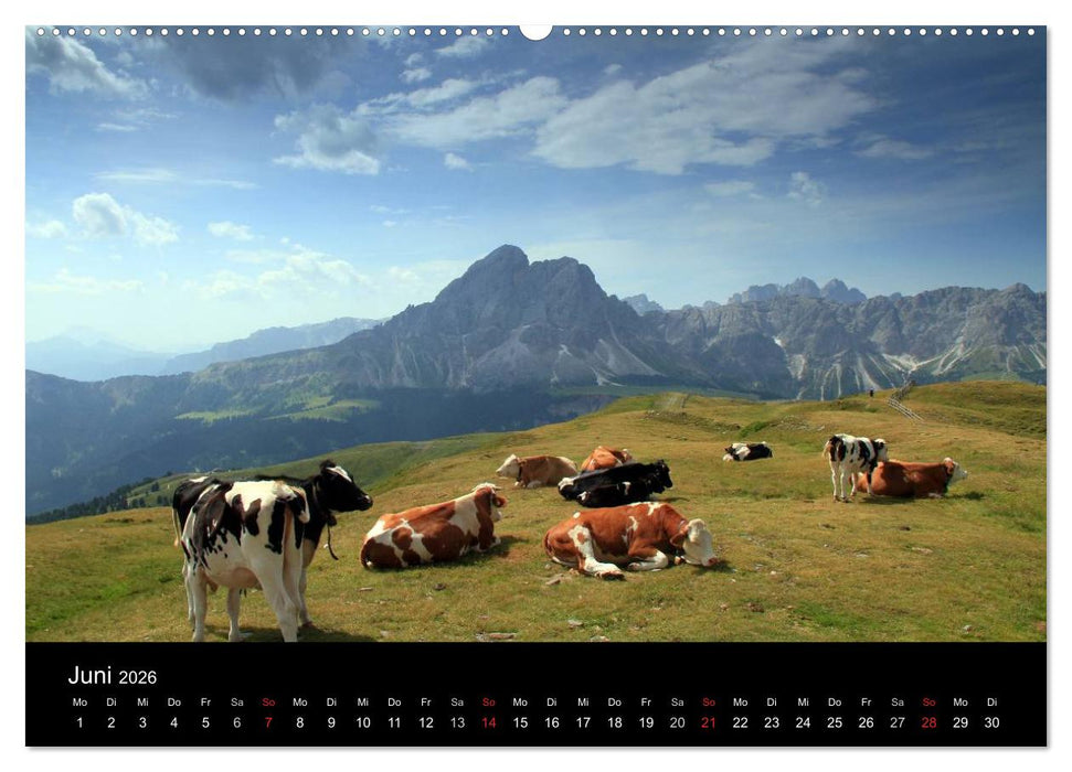 Idyllische Dolomiten (CALVENDO Premium Wandkalender 2026)