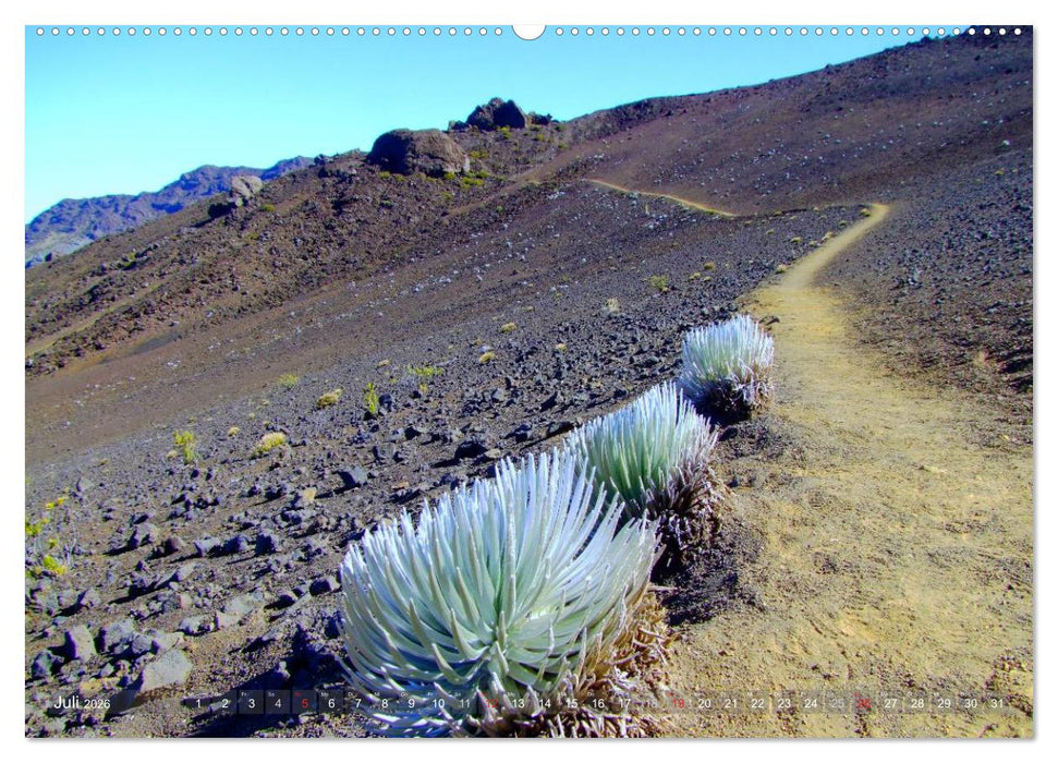 Hawaii und seine Aloha - Inseln (CALVENDO Premium Wandkalender 2026)
