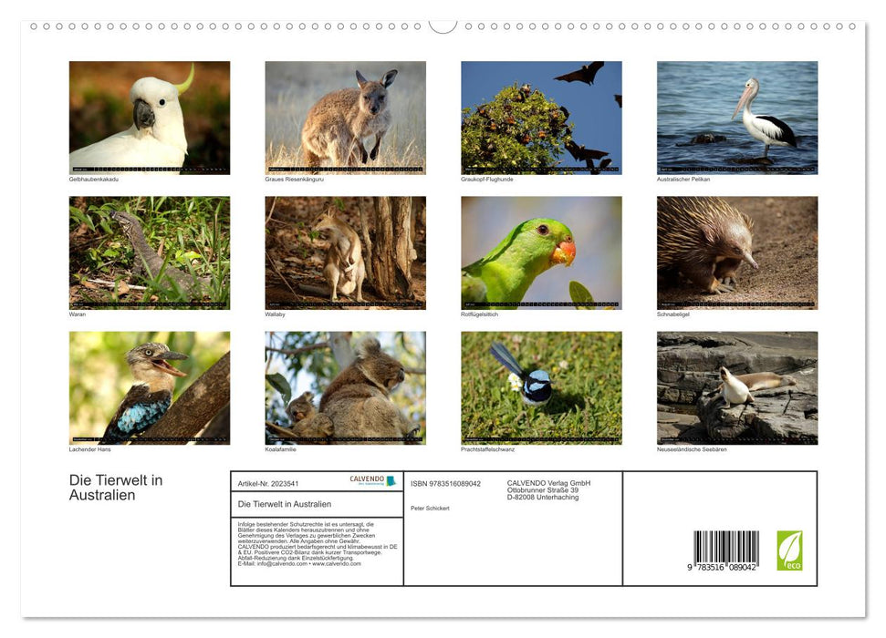 Die Tierwelt in Australien (CALVENDO Premium Wandkalender 2026)