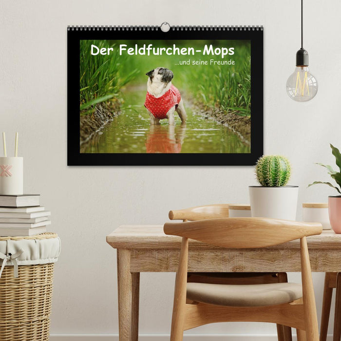 Der Feldfurchen-Mops (CALVENDO Wandkalender 2026)