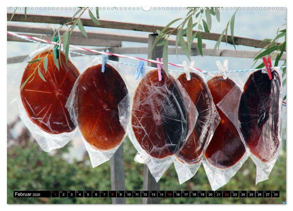 Faszination Aserbaidschan (CALVENDO Wandkalender 2026)