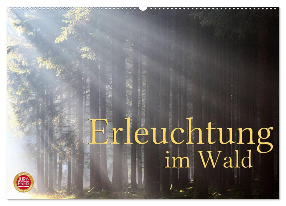 Erleuchtung im Wald (CALVENDO Wandkalender 2026)