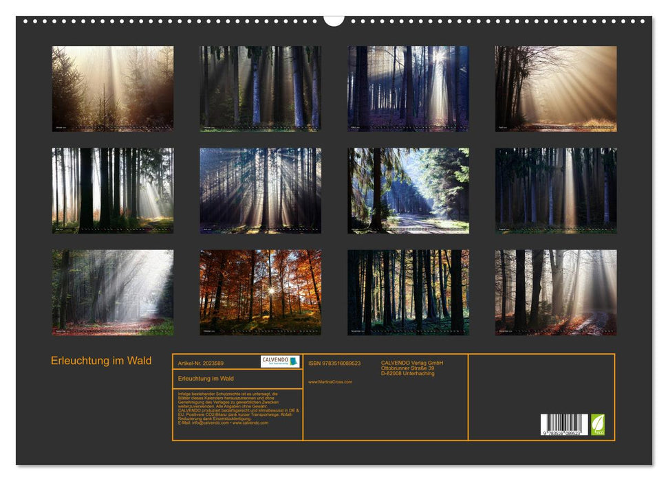 Erleuchtung im Wald (CALVENDO Wandkalender 2026)