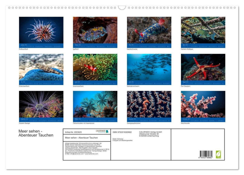 Meer sehen - Abenteuer Tauchen (CALVENDO Wandkalender 2026)