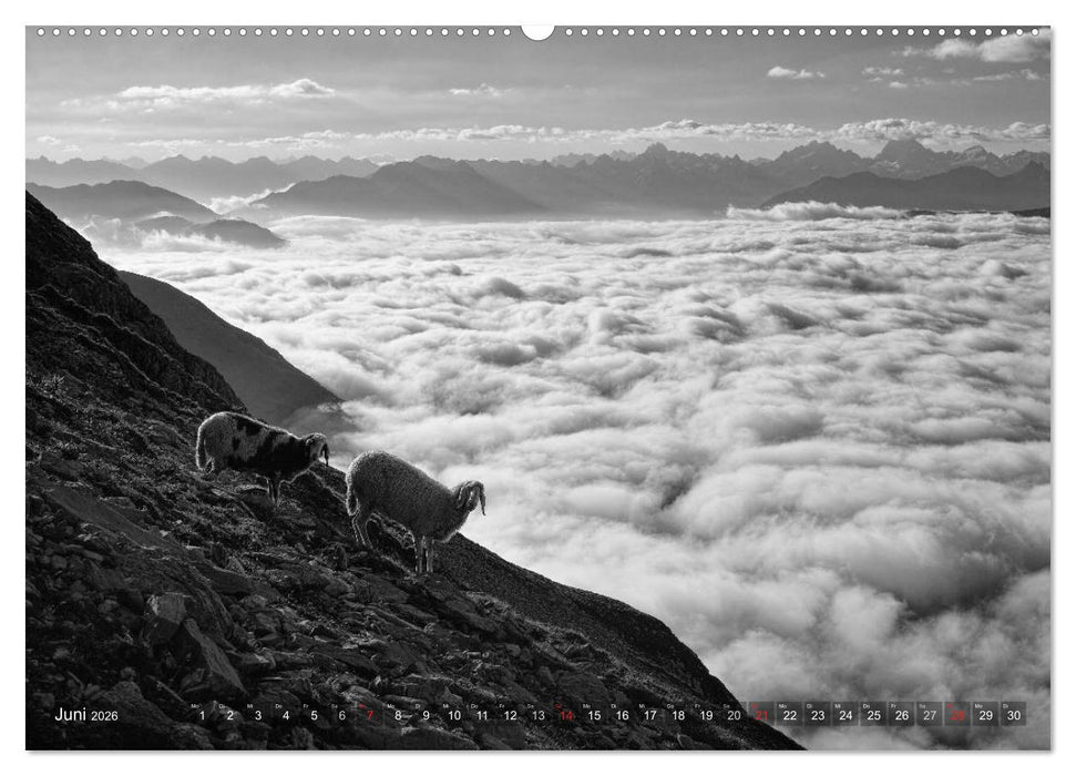 Bergsucht 2026 (CALVENDO Premium Wandkalender 2026)