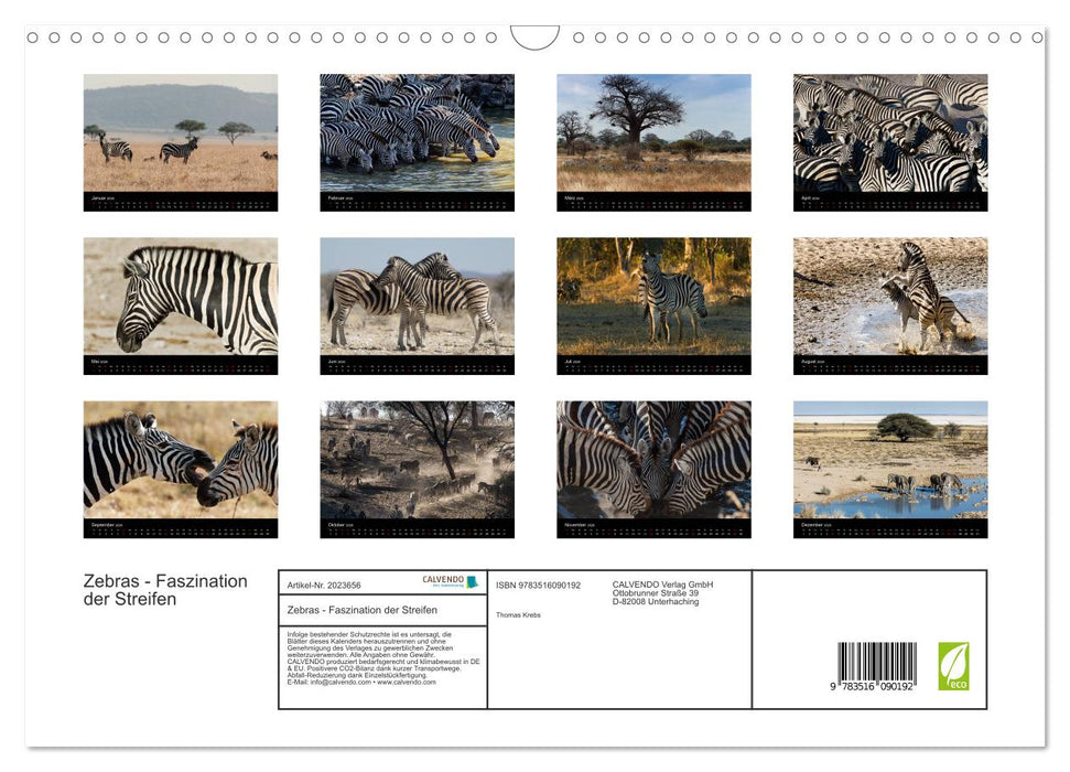 Zebras - Faszination der Streifen (CALVENDO Wandkalender 2026)
