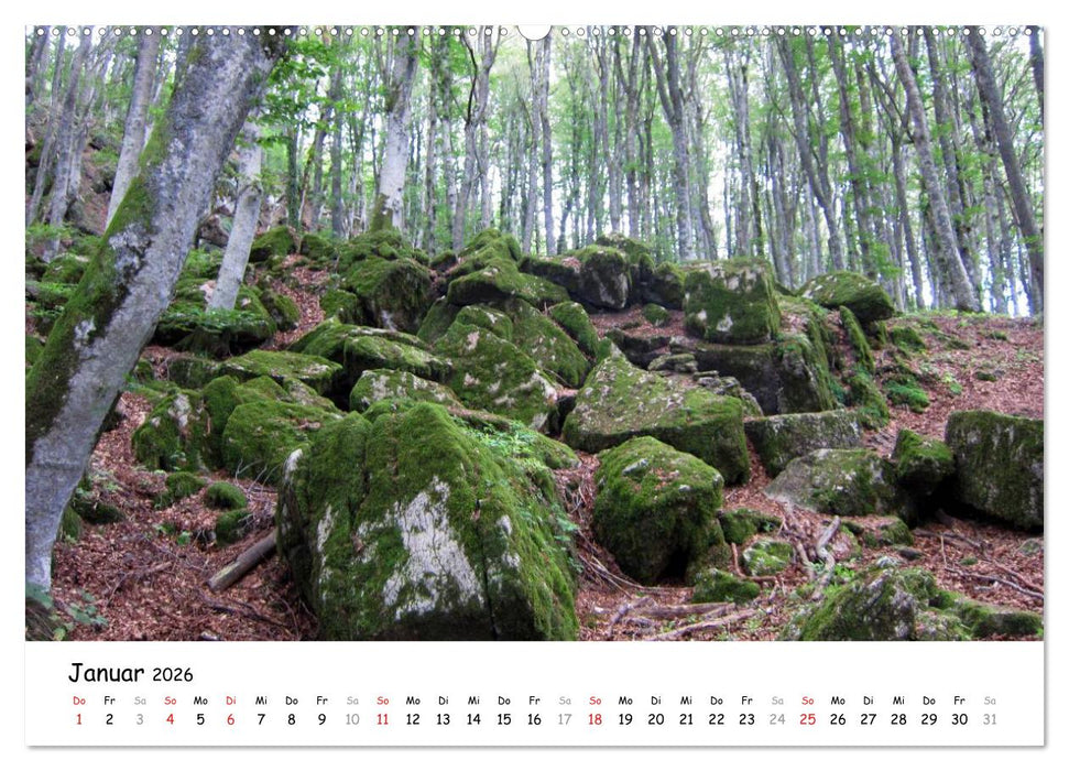 Camino di Assisi - Franziskusweg (CALVENDO Premium Wandkalender 2026)