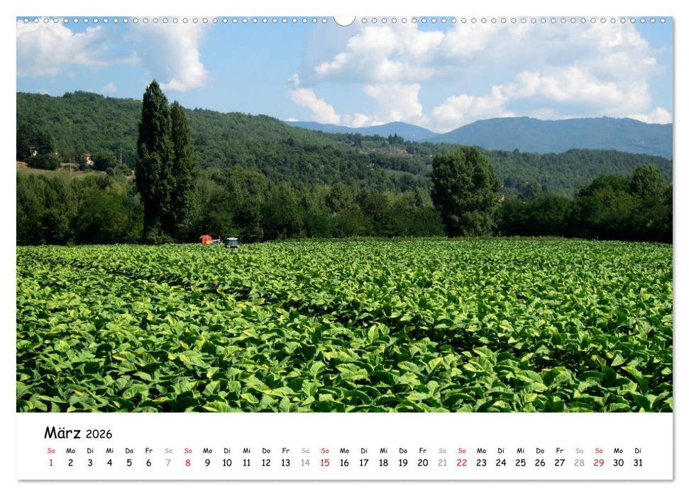 Camino di Assisi - Franziskusweg (CALVENDO Premium Wandkalender 2026)