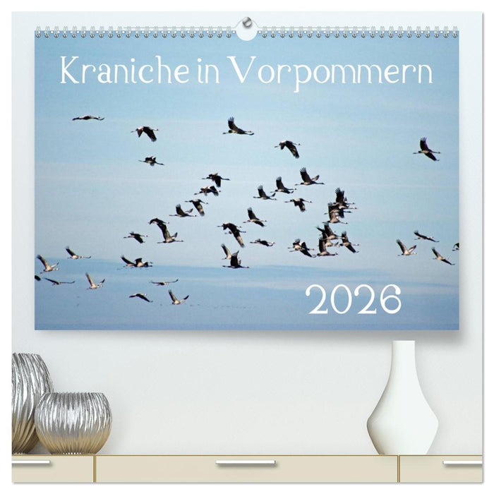 Kraniche in Vorpommern (CALVENDO Premium Wandkalender 2026)