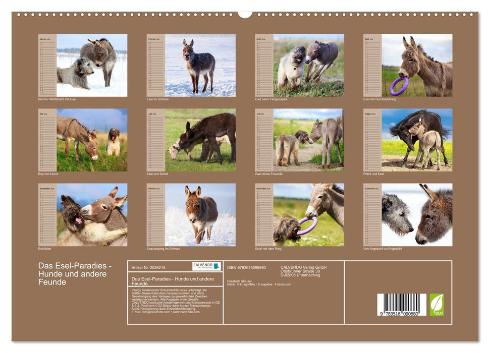 Das Esel-Paradies - Hunde und andere Feunde (CALVENDO Premium Wandkalender 2026)
