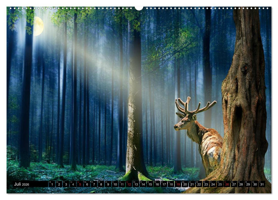 Mystische Vollmondnächte (CALVENDO Premium Wandkalender 2026)