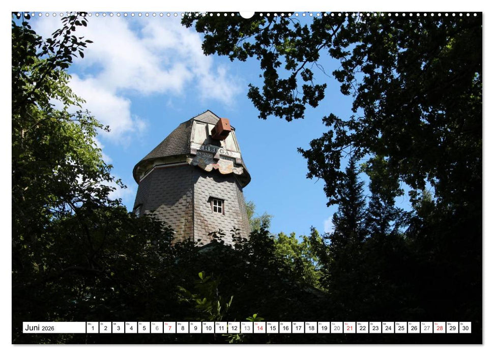 Wedel - Ein Spaziergang (CALVENDO Premium Wandkalender 2026)