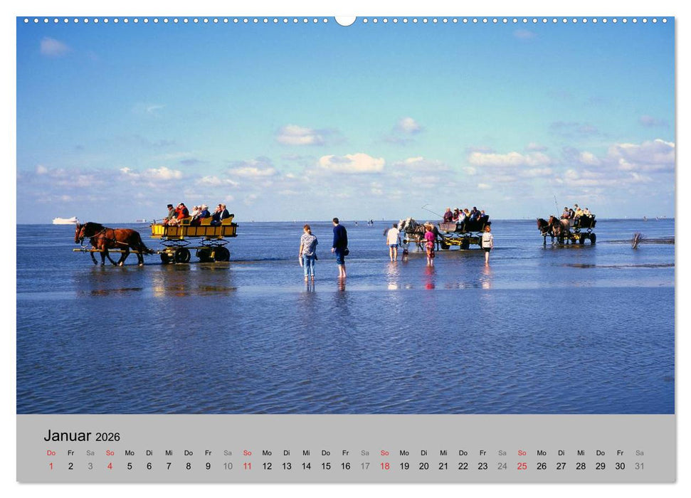 Deutschlands schöner Norden (CALVENDO Premium Wandkalender 2026)