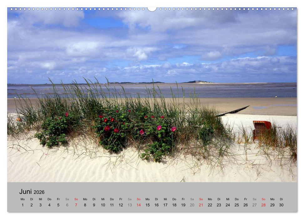 Deutschlands schöner Norden (CALVENDO Premium Wandkalender 2026)