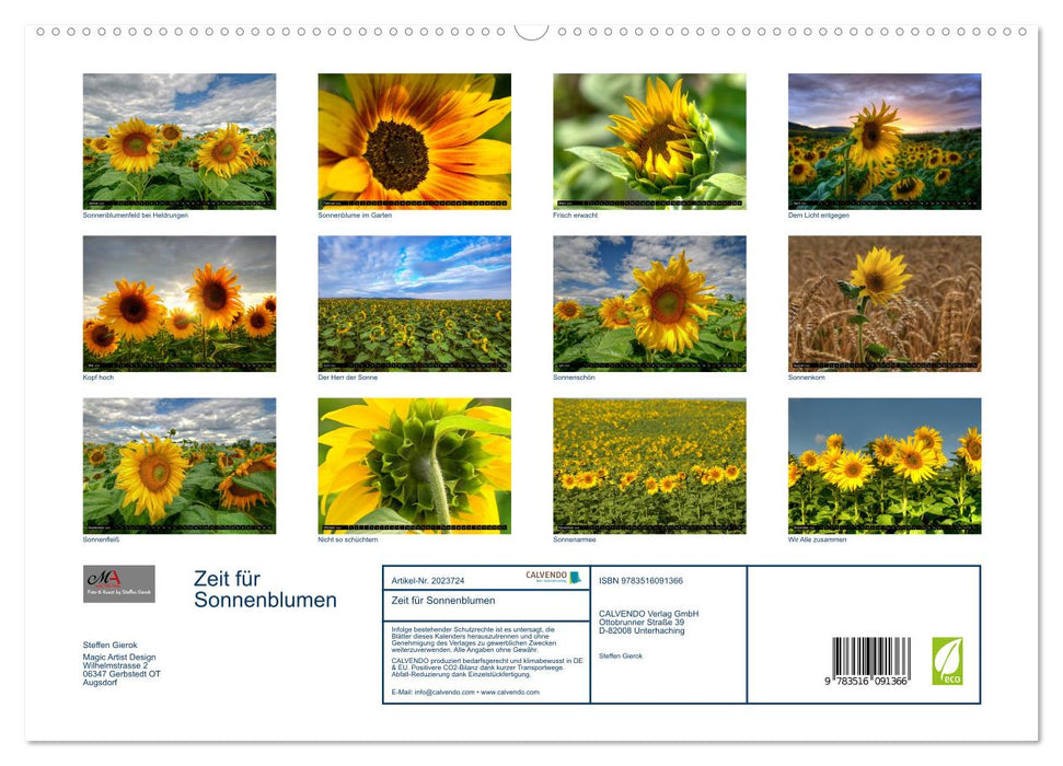 Zeit für Sonnenblumen (CALVENDO Premium Wandkalender 2026)