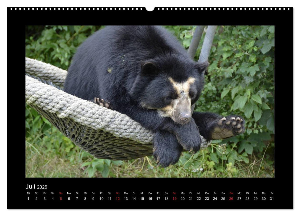 Bitte nicht stören... hier träumen Tiere (CALVENDO Premium Wandkalender 2026)