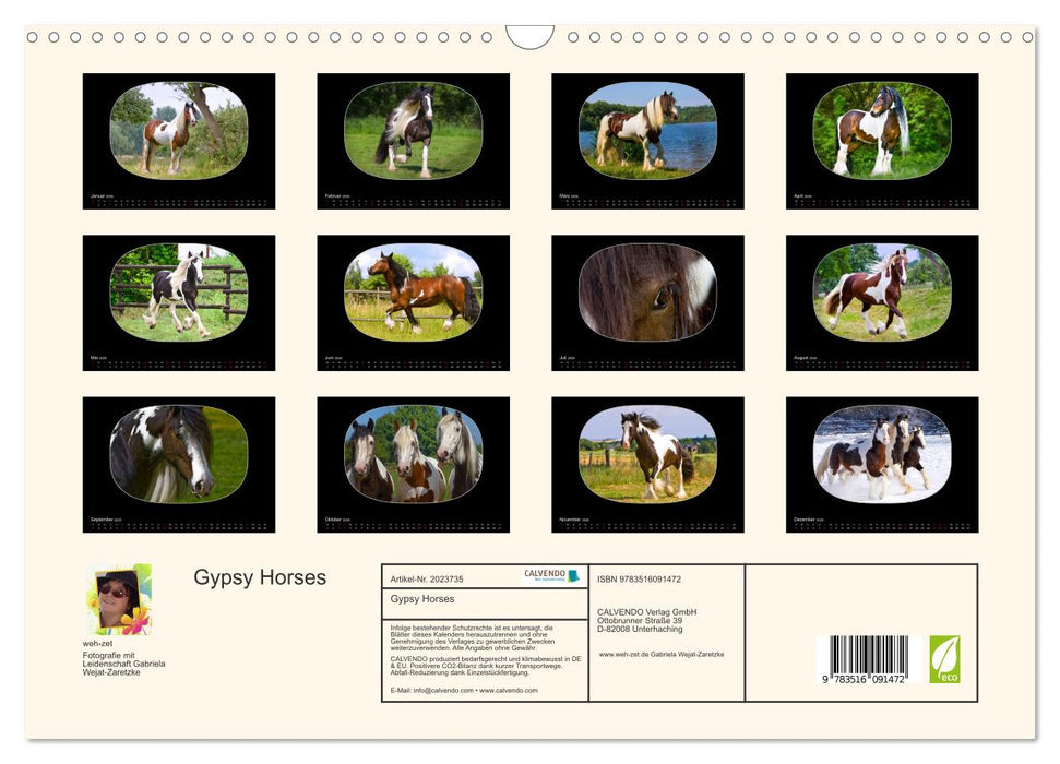 Gypsy Horses (CALVENDO Wandkalender 2026)