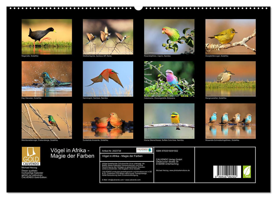 Vögel in Afrika - Magie der Farben (CALVENDO Premium Wandkalender 2026)