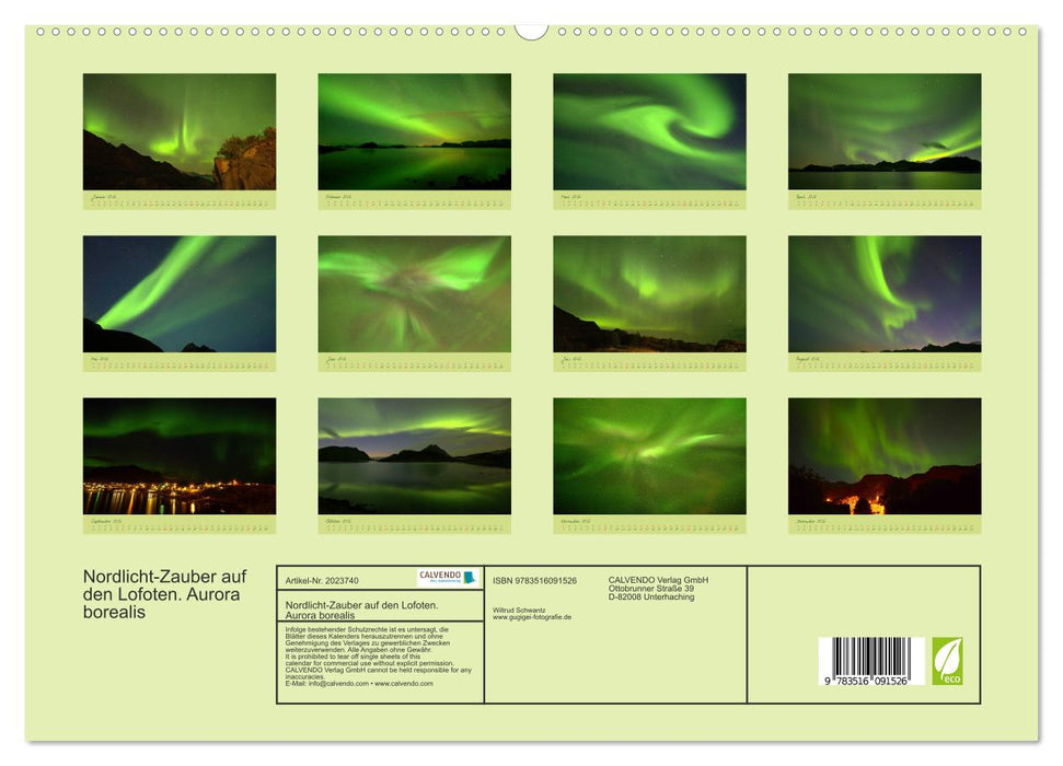 Nordlicht-Zauber auf den Lofoten. Aurora borealis (CALVENDO Premium Wandkalender 2026)