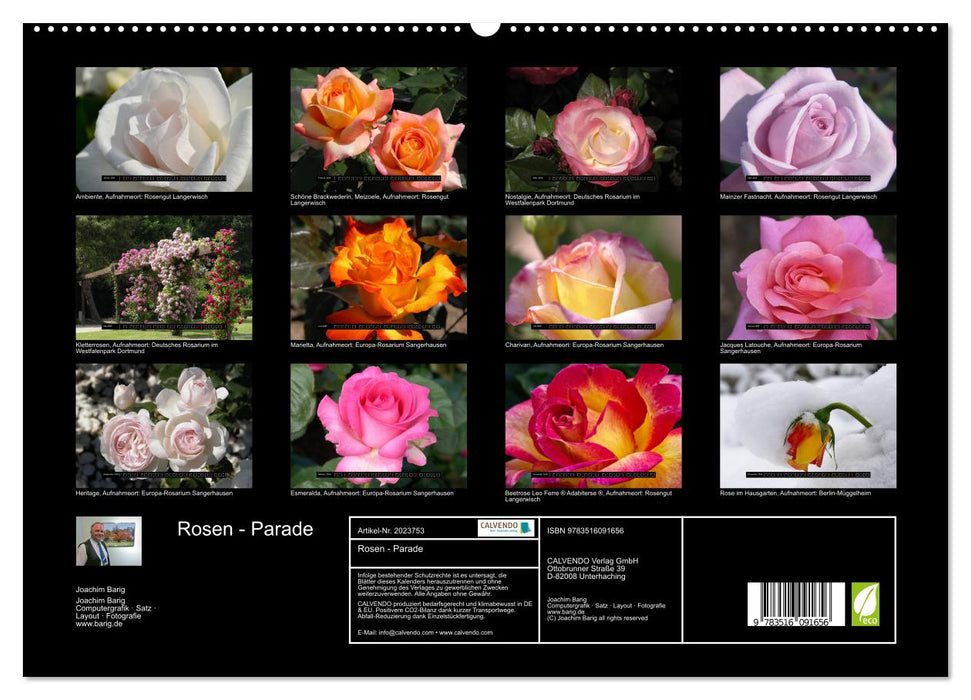 Rosen - Parade (CALVENDO Premium Wandkalender 2026)