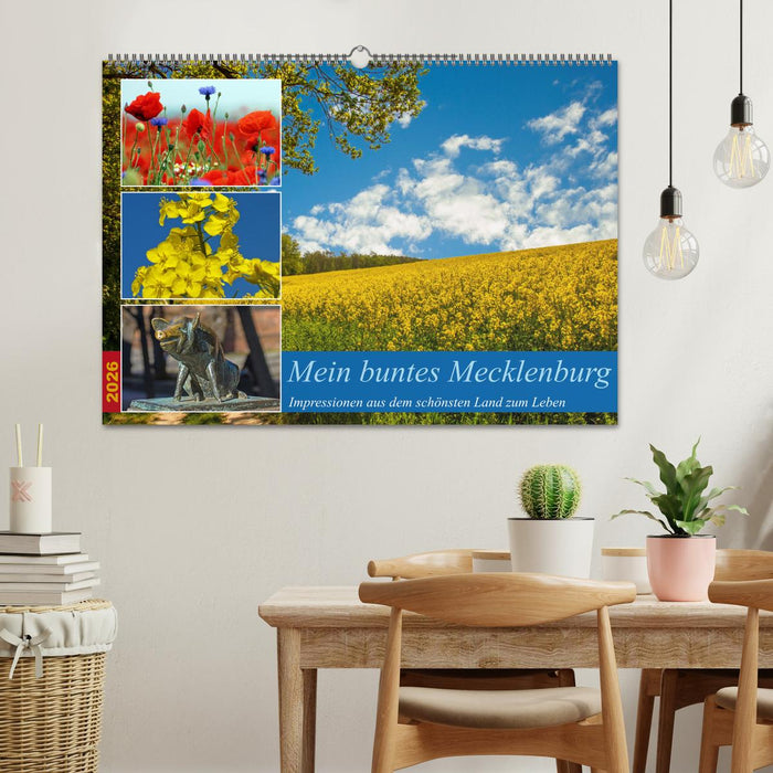 Mein buntes Mecklenburg (CALVENDO Wandkalender 2026)