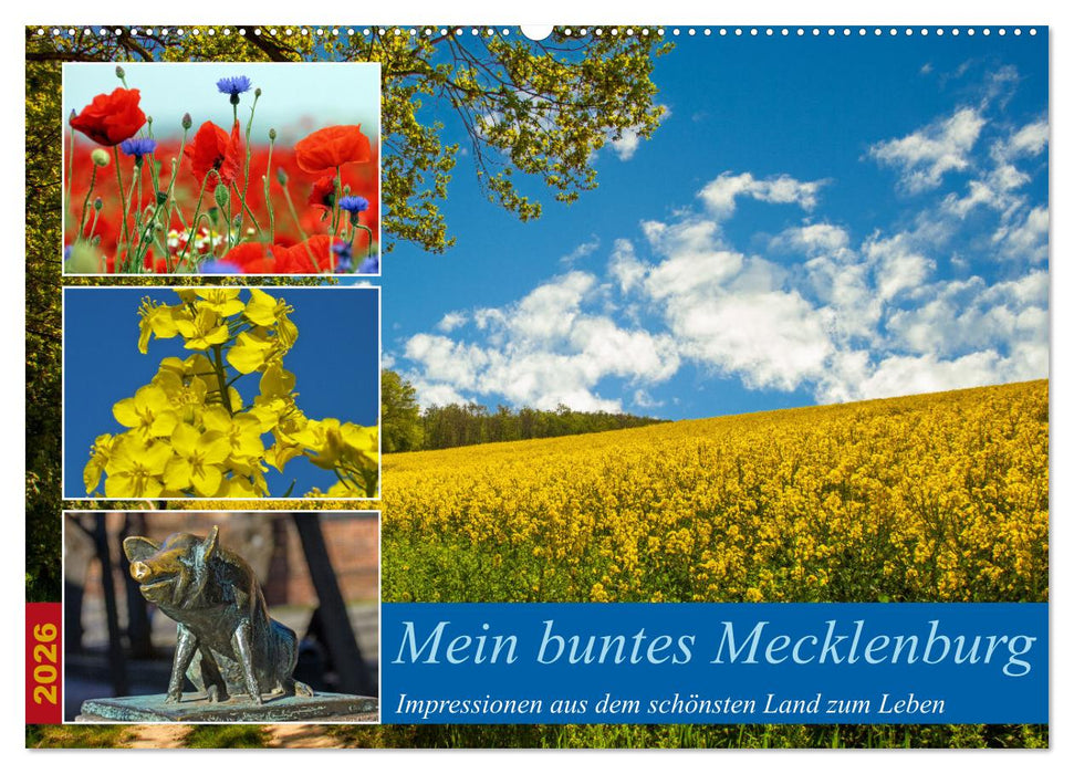 Mein buntes Mecklenburg (CALVENDO Wandkalender 2026)