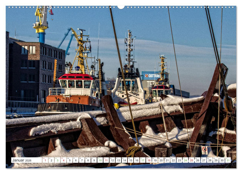 Mein buntes Mecklenburg (CALVENDO Wandkalender 2026)