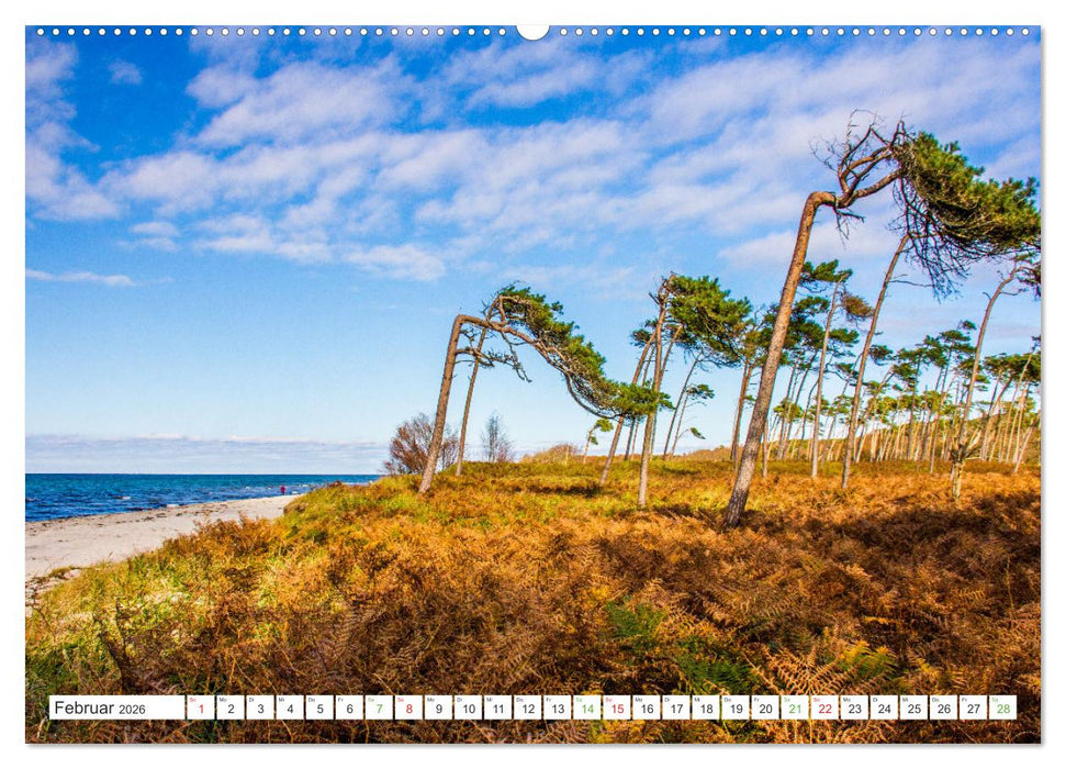 Mein buntes Mecklenburg (CALVENDO Wandkalender 2026)