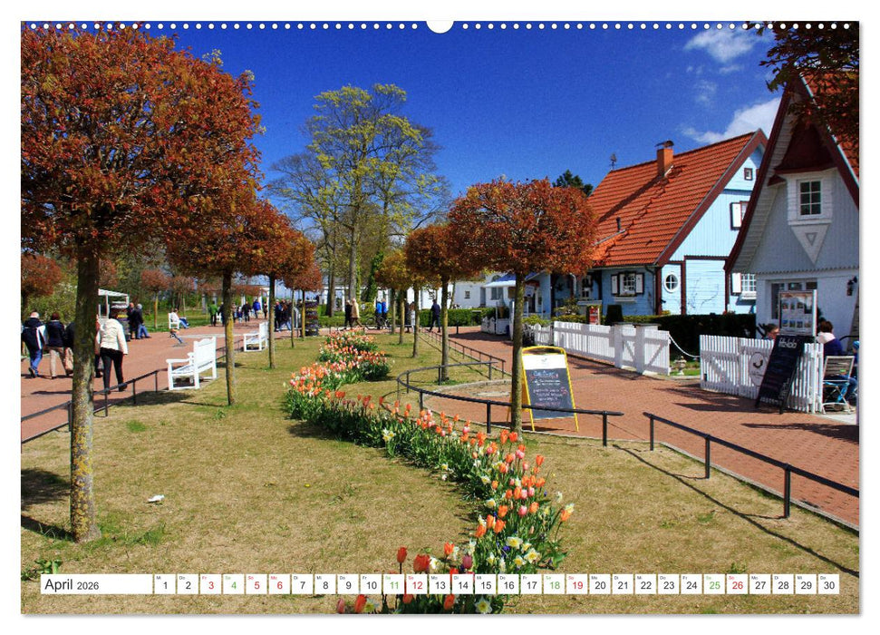 Mein buntes Mecklenburg (CALVENDO Wandkalender 2026)