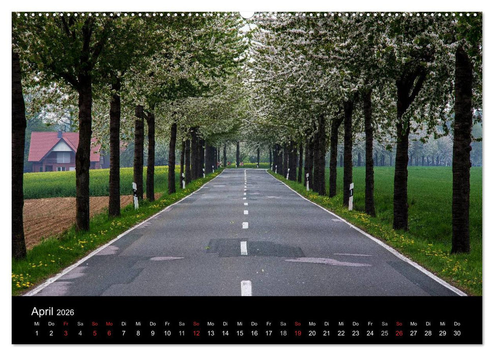 365 Tage Herford (CALVENDO Wandkalender 2026)