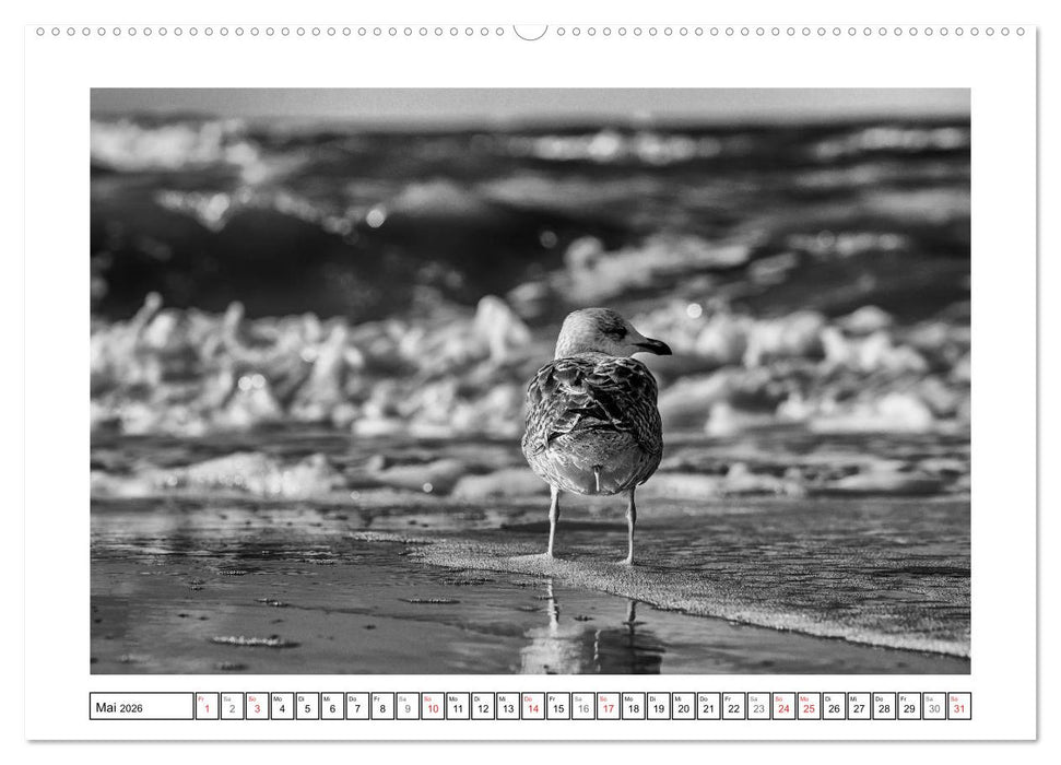 Am Strand von St. Peter-Ording SCHWARZ-WEISS (CALVENDO Premium Wandkalender 2026)