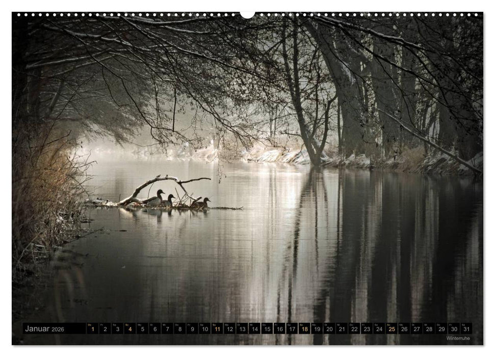 Traumlandschaften 2026 (CALVENDO Premium Wandkalender 2026)